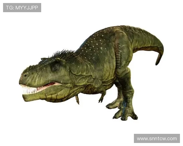 雷克斯暴龙觉醒探索恐龙世界的神秘力量与人类命运的终极对决