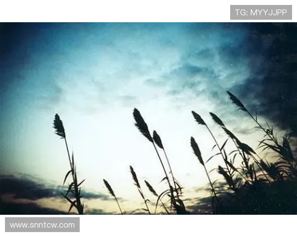 德尔托拉的呼唤:你,是最后的希望