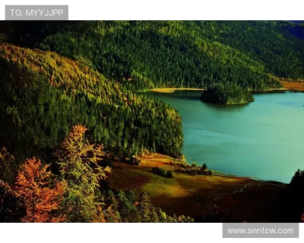 漂泊手记:在流动的时光里,寻找心灵的栖息地